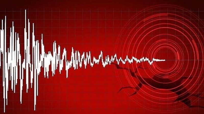 24 दिनों में 10 बार भूगर्भीय हलचलों से हिली  उत्तराखंड और हिमाचल की धरती