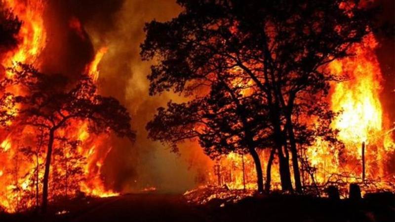 वनाग्नि के 1558 घटनाओं में 2581 हेक्टेयर जंगल का नुकसान