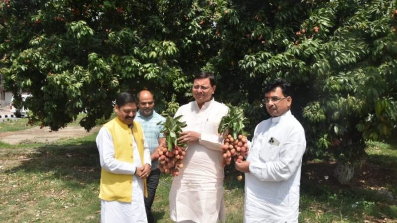 देहरादून की लीची की अलग पहचान, यह पहचान बनी रहनी चाहिए: सीएम धामी
