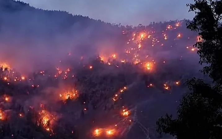 जंगलों को आग से बचाने के लिए मुख्य सचिव ने दिए नए निर्देश