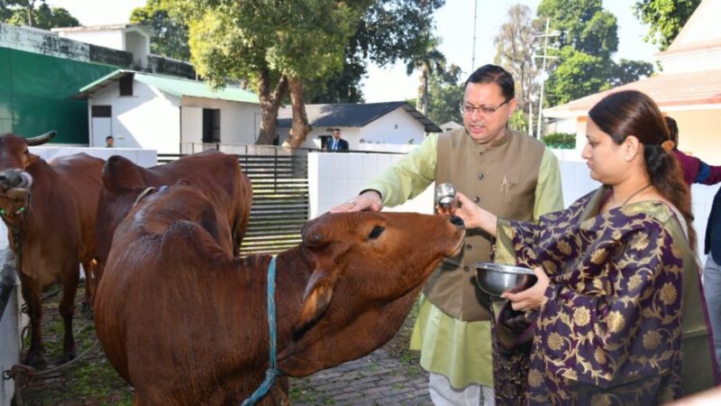 सीएम धामी ने की गौ पूजा, पत्नी गीता धामी भी रहीं साथ
