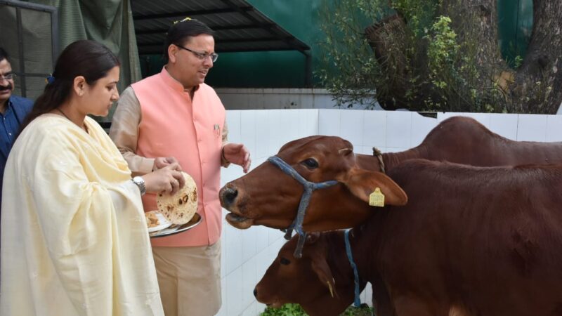 इगास के अवसर पर सीएम धामी ने धर्मपत्नी के साथ किया गौ-पूजन