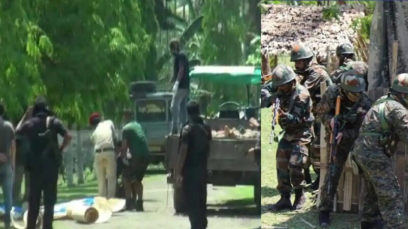 राजाजी टाइगर रिजर्व पर्यटकों के स्वागत के लिए तैयार