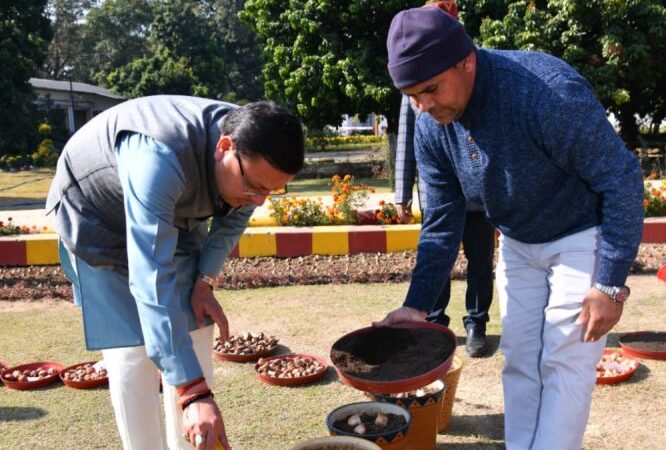 सीएम धामी ने ट्यूलिप की 13 प्रजातियों का किया रोपण