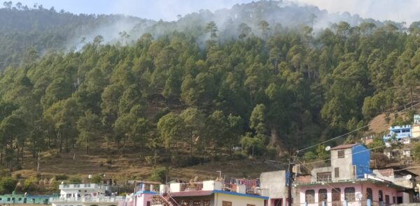 धू-धू कर जल रहा हैं पूर्वी पिंडर रेंज देवाल के सेलखोला का जंगल