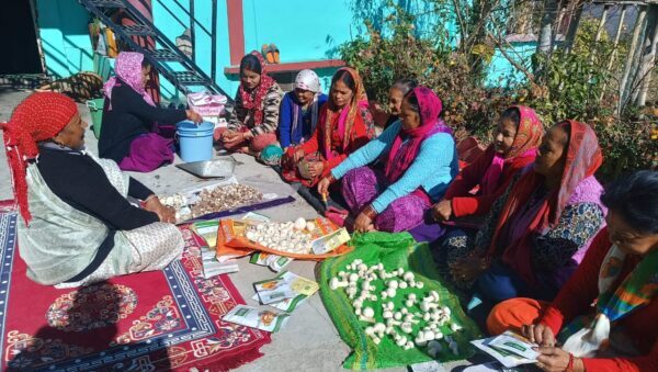 चमोली में मशरूम उत्पादन काश्तकारों के लिए साबित हो रहा संजीवनी, 37 काश्तकार और सात महिला स्वयं सहायता समूह कर रहे मशरूम का व्यावसायिक उत्पादन, तीन माह में काश्तकारों ने तीन लाख से अधिक आय की अर्जित