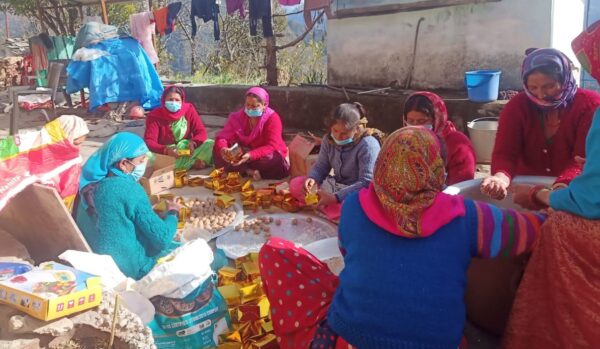 शिवरात्रि पर्व पर शिवालयों में प्रसाद के रूप में मिलेंगे चौलाई के लड्डू