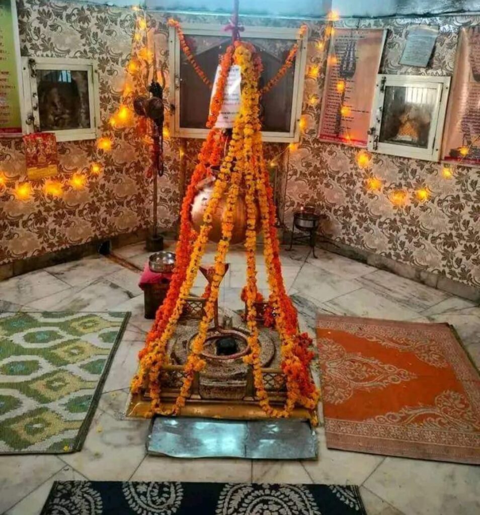 धूमधाम से मनाई गई महाशिवरात्रि, शिवालयों में उमड़ी श्रद्धालुओं की भीड़