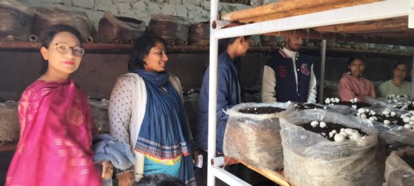 शहीद जगदीश प्रसाद पुरोहित राजकीय महाविद्यालय नंदानगर में आयोजित EDP कार्यशाला के 07वें दिन मशरूम की खेती, भांग और कंडाली के रेशे बनाने वाले उद्यमियों से मिले छात्र